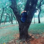 lorelei williams - @lorelei3541 - Instagram