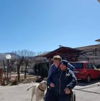 Lorella Pace - Facebook
