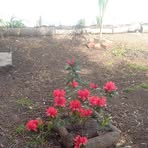 Loren Cano - Facebook