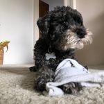 Loren Davidson - @loren.davidson.98 - Instagram