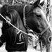 Lorena Drago - Facebook