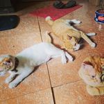 Erwin lorenz - @erwinlorenz1 - Instagram