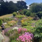 Loren Evans - @loren.evans.nz - Instagram