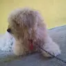 Loren Green Mutya fl - @lorengreenmutyafl - TikTok