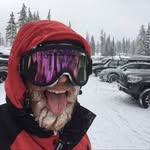 Loren Hill - @loren.hill.86 - Instagram