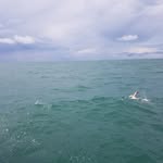 Loren King - @swimmingprofloren - Instagram