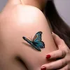 Loren Paul - @30205188881 - TikTok