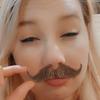 Lauren Purcell - @thatladywith7cats - TikTok