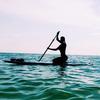 Lauren Purcell - @laurennpurcell - TikTok