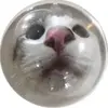 loren rogers - @loren.rogers - TikTok