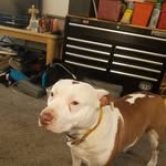 Loren Rogers Sr. - @rogerssr.loren - Instagram