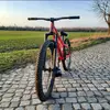 lorenz_rose - @lorenz_rose - TikTok