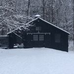 Loren Simons - @blackbarn_tinyfarm - Instagram