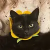 lorenwest88 - @lorenwest88 - TikTok