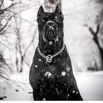 Wilcox Loren - @wilcox_loren_ - Instagram