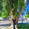 Lorena Alegria - @lorena.alegria6 - TikTok
