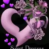 love - @loveanchetalorena - TikTok
