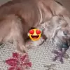 lorenaavina27 - @lorenaavina27 - TikTok