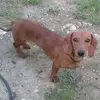 lorenabenitobenit - @lorenabenitobenit - TikTok