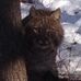 Loren Buckner - Facebook