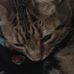 Lorena Buckner - Facebook