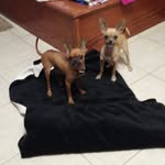 Lorene Buckner - @buckner2002 - Instagram