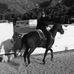Lorena Ceja - Facebook