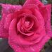 Lorena Colin - Facebook
