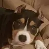 lorena espejo - @lorena.espejo52 - TikTok