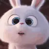 lorena ferroñan neciosup - @lorena.ferroan.ne - TikTok