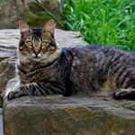 lorena gardner - @lorenagardner76 - Instagram