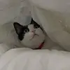 Lorena Henriquez - @lorena.henriquez16 - TikTok