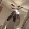 lauren jenkins - @laurenjojenkins - TikTok