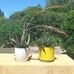 Lorena Leone - Facebook