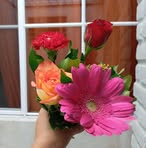 Lorena Majano - Facebook