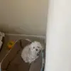 Lorena Manriquez - @lorenamanriquez31 - TikTok