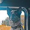 Loren Maxwell - @loren.maxwell5 - TikTok
