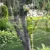 Lorena McDonald - @lorena.mcdonald7 - TikTok