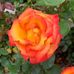 Lorena Novoa - Facebook