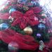 Lorena Palma - Facebook