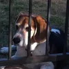 Lorene Pearson - @30189056361 - TikTok