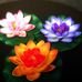 Lorena Peck - Facebook