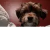Lorena Puente - @lorenapuente1 - TikTok