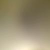 Lorena Quinones - @lorenaq999 - TikTok