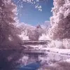 lorenareed681 - @lorenareed681 - TikTok