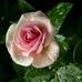 Lorena Robles - Facebook