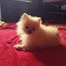 Lorena Salmerón Garc - @lomuba - TikTok