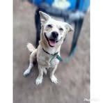 Lorena Saucedo - Facebook