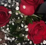 Lorena Saucedo - Facebook