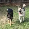 Lorena Serrano - @bellayzeus - TikTok